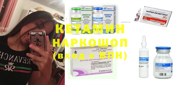 стаф Инта