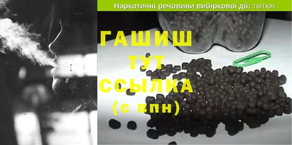 стаф Инта