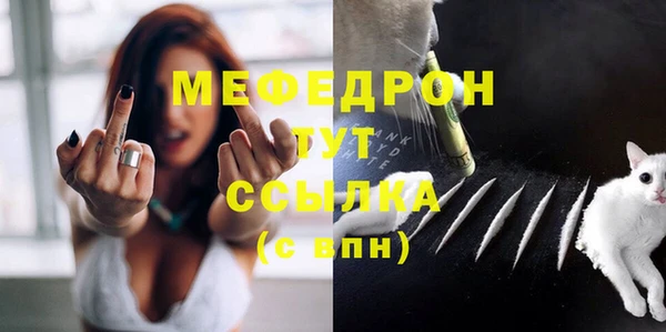 стаф Инта