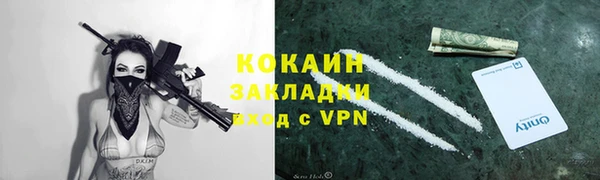 стаф Инта