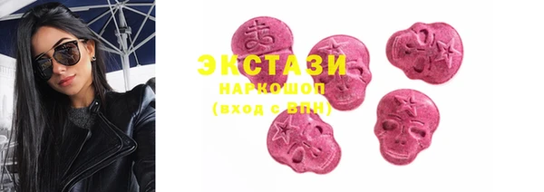 стаф Инта