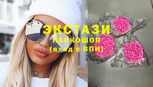 стаф Инта