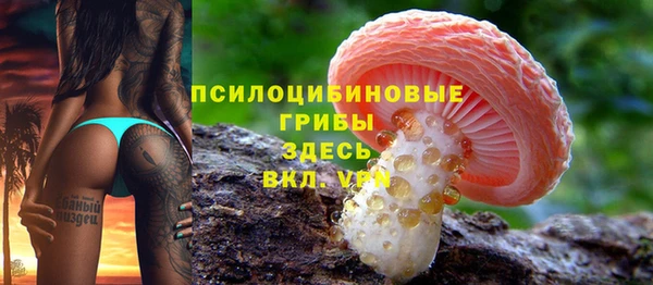 винт Инсар