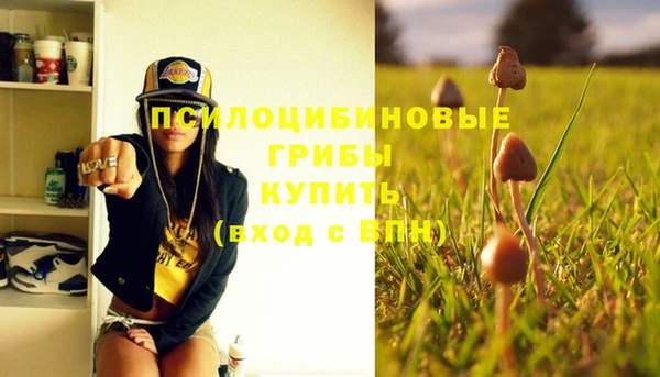 винт Инсар