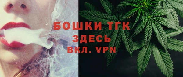 винт Инсар