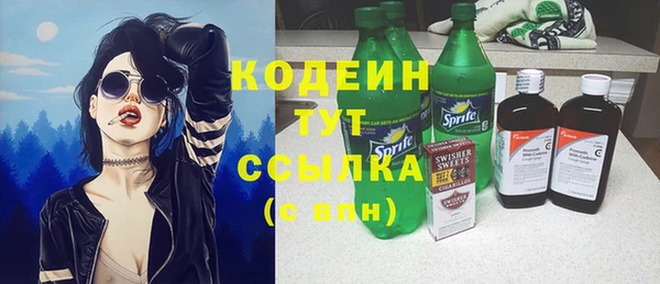 стаф Инта