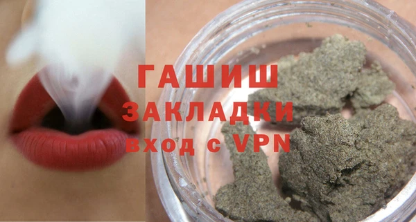 стаф Инта