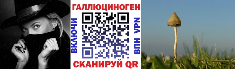 Галлюциногенные грибы MAGIC MUSHROOMS Мыски